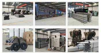 Shandong Lisent Agricultural Technology Co., Ltd.