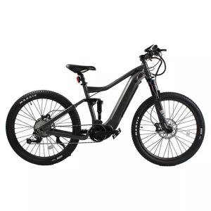 Wholesale 48V 750W Central Motor Electric Bike for Adults 2024 Customized Mountain Bike from china suppliers