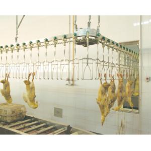Wholesale 500BPH - 12000BPH Capacity Halal Goose Slaughter Equipment Customizable from china suppliers