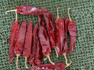 Wholesale 15000shu Dried Guajillo Chili Red Jinta Chilli Premium Taste from china suppliers