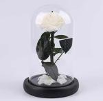 Never Withered Flowers Preserved roses Live Enchanted Rose in Glass Dome Cover