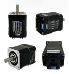 Faradyi Customized 25nm 12 24v1000w 1400 Rpm Motor Tattoo Machine Dc Brushless