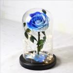 Wholesale Rose Preserved Flower in Glass Dome Flower for Valentines Day