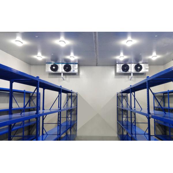 Cold and Freezing Industry Cold Room With Condensing Unit
