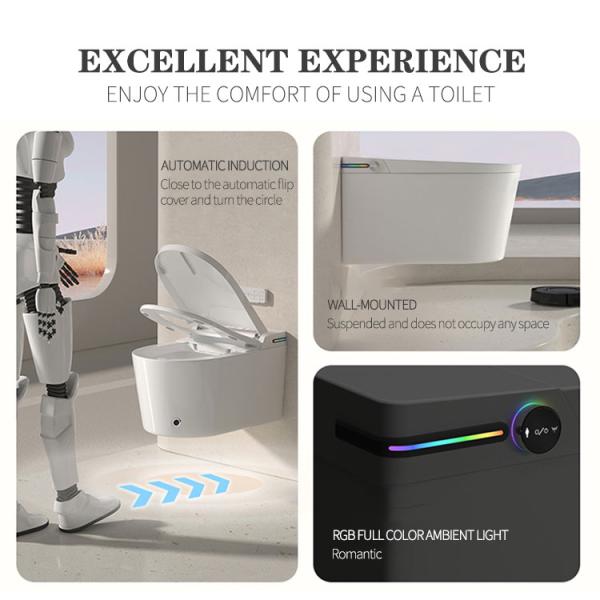 Elongated Bowl Smart Toilet Equipped With Siphon Jet Flushing Method