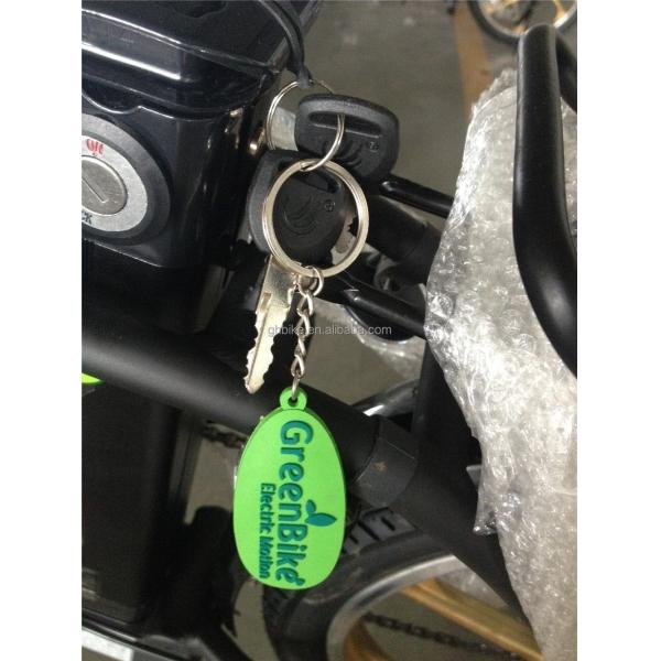 Folding Electric Bike for Israel Green Bike 350W Mag Wheel 36V Voltage 7 Speed Gears