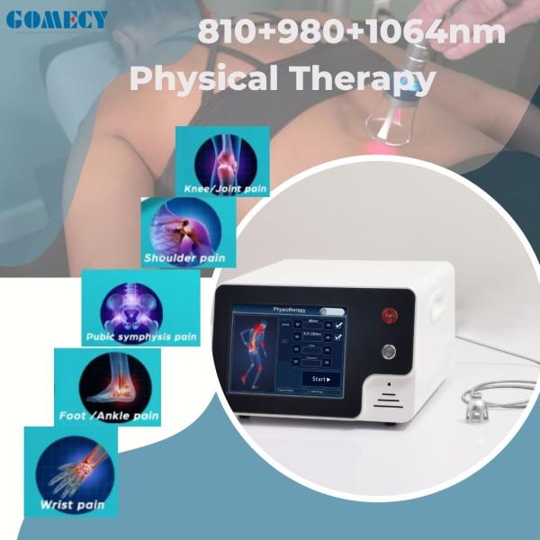 Pain Relief Laser Therapy Physiotherapy Device Diode Laser 980Nm 810nm 650nm