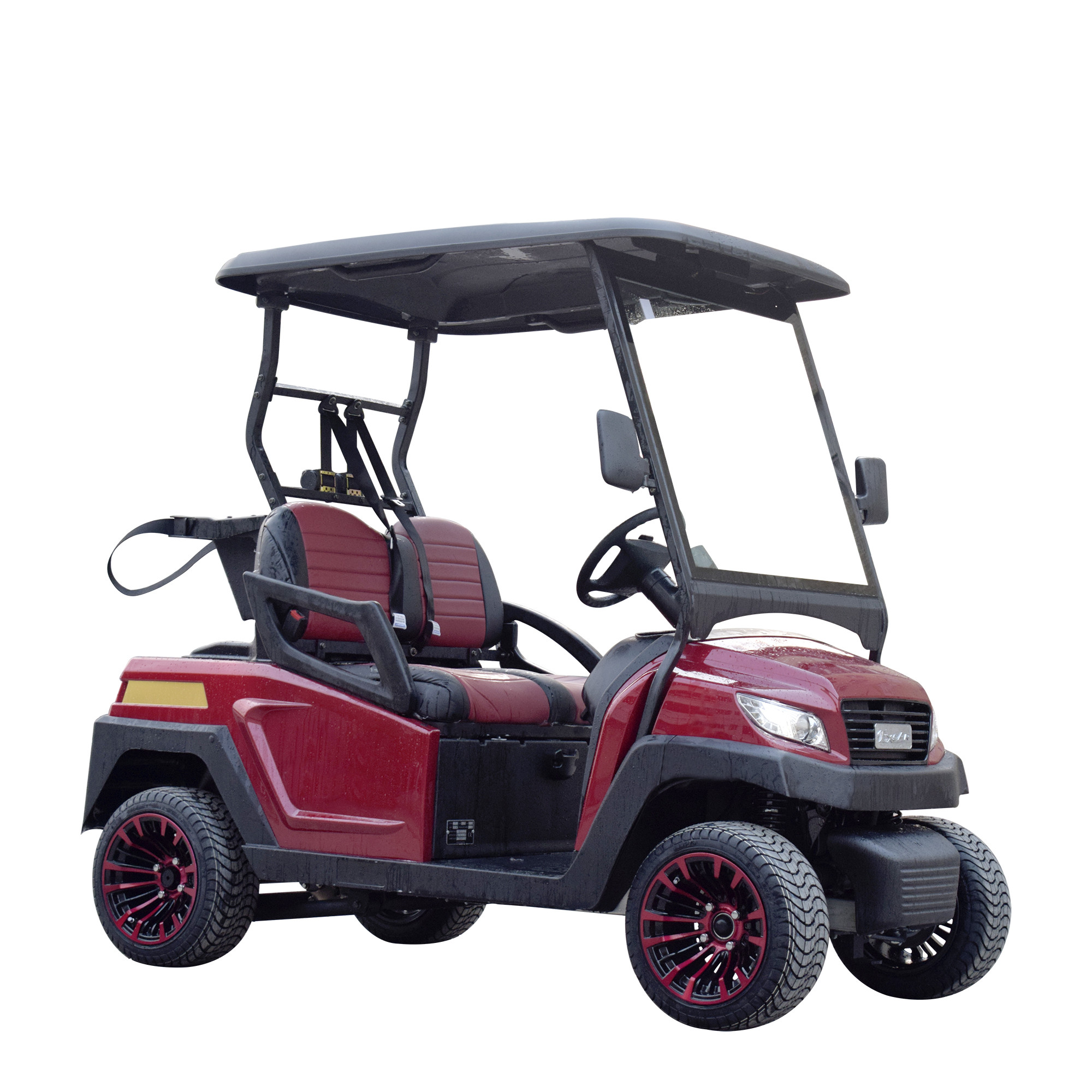 Electric Golf Buggy 2 Passenger Intelligent Onboard Charger M Series