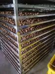 Food Grade Stainless Steel Wire Mesh Food Drier For Fruit Dehydrator Drying