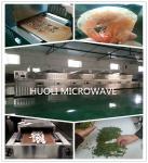 Fully Automatic Feed Microwave Dryer Seafood Microwave Drying Equipment, Food
