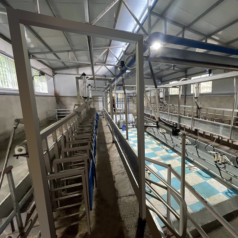 Sheep Parallel Fast Mode Milking Parlor Equipment Easy To Operate