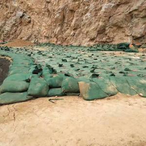 Wholesale Seawall Geotextile Geobags Polyester Non Woven Geotube Eco Friendly from china suppliers