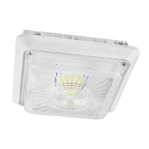 Buy cheap Kitchen 120V 40W 5000K IP65 LED Canopy Light Fixtures from wholesalers