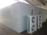 Vegetables Cold Room Freezer Walk In Cold Storage Units For Keep Fresh Fruits