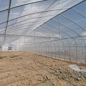 Agricultural Plastic Polytunnel Greenhouse For Vegetables And Seeding