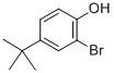 Wholesale 2-Bromo-4-tert-butylphenol [2198-66-5] from china suppliers