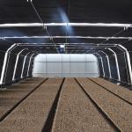 Light Deprivation Hydroponic American Greenhouse Automatic Tunnel Agriculture