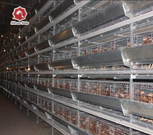 Wholesale 65*62.5 Cm H Type Battery Chicken Cage Big Size from china suppliers