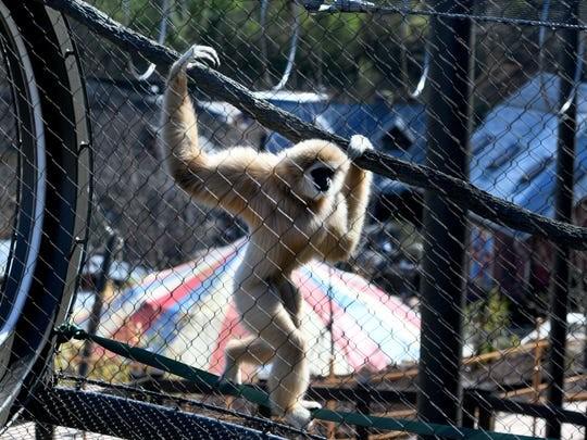 Hand Woven Animal-Gibbon Mesh Fencing Stainless Steel 1.2mm - 3.2mm Rope