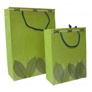China Medium Lime Matt Laminated Carrier Bag g With Rope Handle Shopping Paper Bags on sale