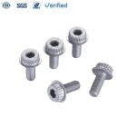 Manufacturer High Quality Fasteners 304 Stainless Steel Hexagon Inside Cup