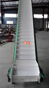 China                  Belt Conveyor Machine Connecting Multi Head Weigher Packing Machine Automatic Feeding Machine              on sale
