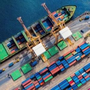 Wholesale From Shanghai To Los Angeles International Sea Freight Forwarder DDP DDU from china suppliers