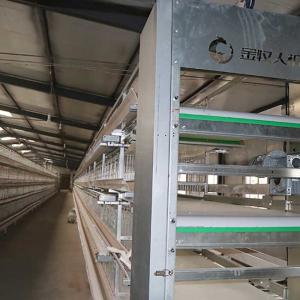 Wholesale Egg Holding Wired Layer Farming Cage , Scientific Designed Layer Hen Cages from china suppliers