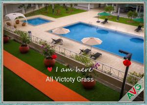 Wholesale Free Maintenance Pet Artificial Grass Natural Appearance Long Life Evergreen from china suppliers