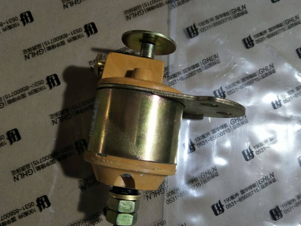 Engine Parts Fuel Pump Jichai Generators