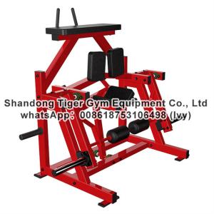 Wholesale Strength Fitness Equipment / plate loaded gym fitness equipment / Iso-lateral Kneeling Leg Curl from china suppliers