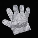 PE Food Grade Disposable Gloves