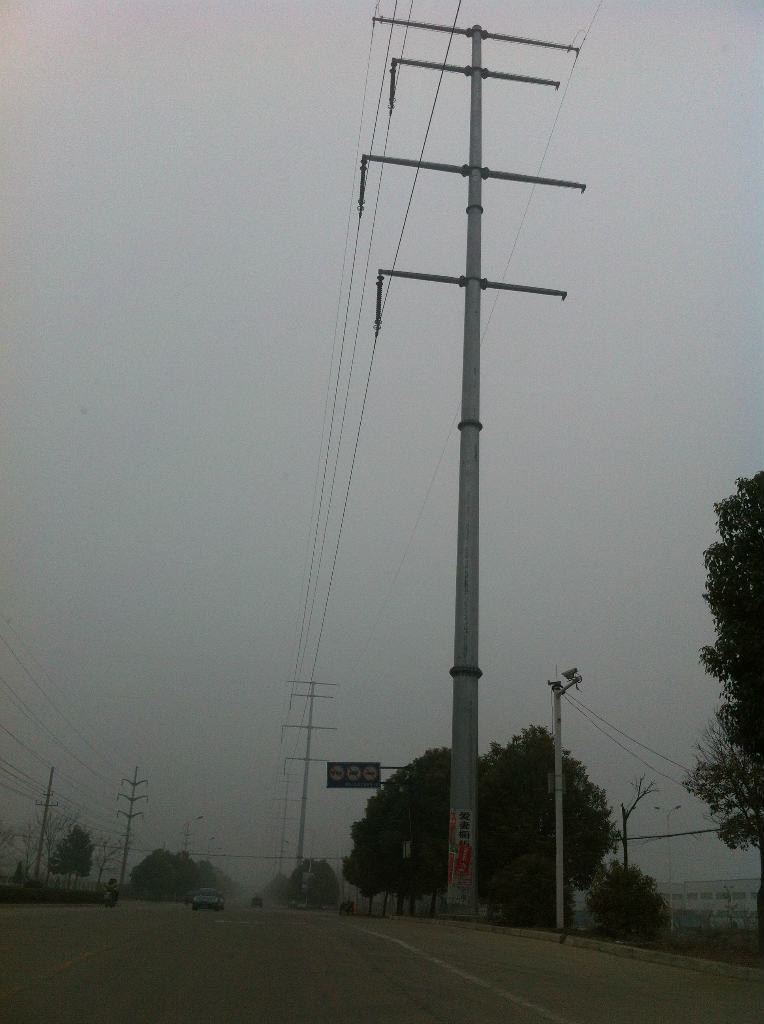 500kg Design Load 30ft 8 Sieds Hot Dip Galvanized Steel Pole Customized