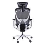 Black PA Ergo Curve All Mesh Office Chair Breathable Swivel Seating Chair