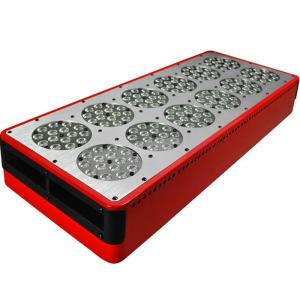 Wholesale greenhouse application full spectrum cidly led grow light from china suppliers