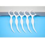 Factory Price Oral Care Eco Friendly Advanced Clean Toothpick Dental Flosser