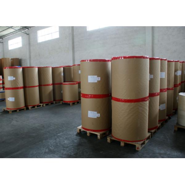 Jumbo coils Thermal Sensitive Recording Paper black image