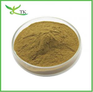 China Natural African Mango Seed Extract Powder 10:1 Mango Seed Extract Weight Loss Raw Material on sale