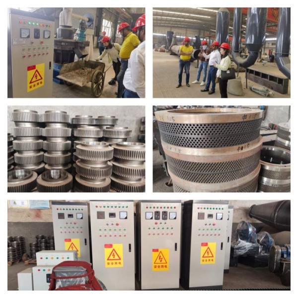 1~3t/H Ring Die Biomass Fuel Wood Pellet Mill With 8mm Pellets For Home Heating