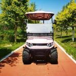 4 Seater Electric Golf Cart Pink Outdoor Theme Park New Design Off-road