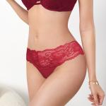 Nylon Hipster Panties With Lace Ultra Soft Sexy Stretch Lace Briefs See Through