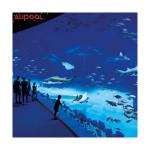 Fashion Design Piscina Pvc Adult Children Durable Inflatable Acrylic Frame