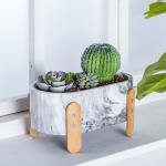Succulents Plant Pots Mini Flower Pots Tabletop Flower Pots Marbled Texture Pot