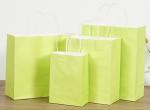 Embossed Printing Paper Bag 250gsm Printed Paper Carrier Bags