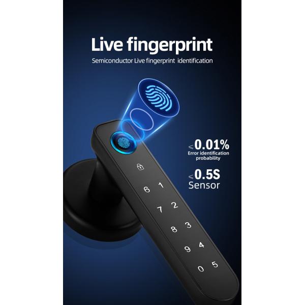 Stainless Steel Smart Handle Door Lock RFID Card Fingerprint Door Handle Lock