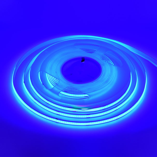 800lm/m Luminous Flux Cob Light Strip Dimmable 24v Single Color 8mm Warranty 3 Years