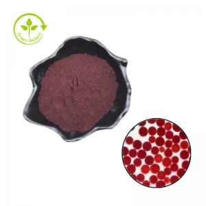 Wholesale Pure Natura 5% 10% Astaxanthinl Oil Powder Astaxanthin from china suppliers