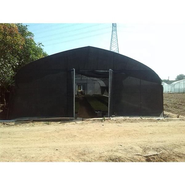 Film Type Agricultural Equipment 10m Tunnel Width Insect Net Greenhouse