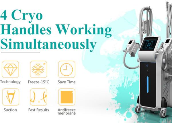 Hot Germany Netherlands CE Approved clinic Cryolipolysis kryolipolyse body