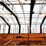 Commercial Automatic Blackout Greenhouse Polyethylene Film Material Made